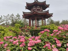-大慈恩寺(大雁塔)