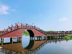 -荷塘月色湿地公园·向阳花洲