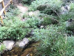 -木兰云雾山