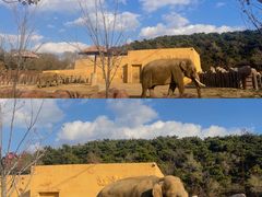 -沈阳森林动物园