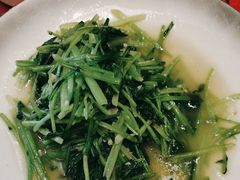 -鱼满舱·鲜活海鲜·正宗鲁菜