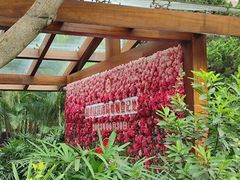 -东风公园