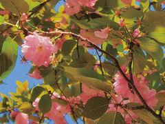 -南京市江宁方山