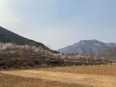 -北京上方山国家森林公园