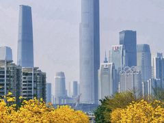 -洲头咀公园