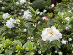 -成都杜甫草堂博物馆