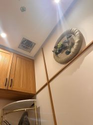 -芳朵美容养生SPA