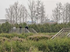 -亲兄弟真人CS团建拓展基地