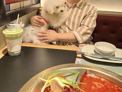 -廖掌柜·重庆鲜货火锅(上海首店)