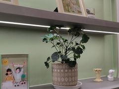 -海马体家庭照相馆(广州正佳广场店)