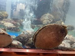 -阳光码头海鲜火锅(世纪大道店)