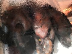 -张鸭子重庆特产卤味小吃(四公里店)