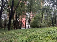 -南长河公园