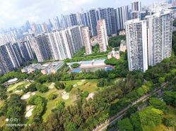 -禧月荟S月子中心(侨城店)