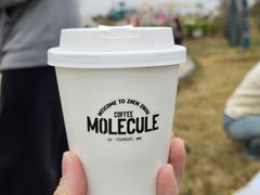 -MOLECULECOFFEE.MANDO 莫勒喝咖啡
