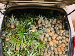 -曼阁市场水果批发市场