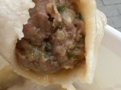 -马大刚白记包子