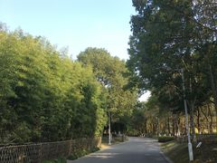 -白塘生态植物园