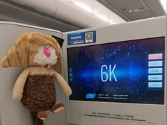 -谢列梅捷沃国际机场