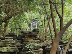 -水濂山森林公园