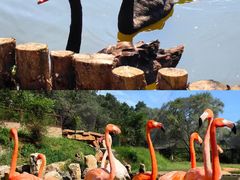 -沈阳森林动物园