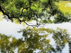 景点-四海公园(南山区)