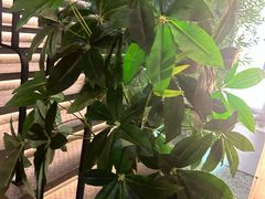 -新紫霞养生·影院足道·SPA(金山区店)