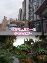 -恐龙探索乐园(磁器口店)