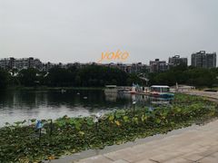 -新江湾城公园
