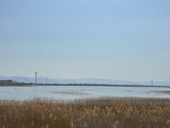 -野鸭湖国家湿地公园