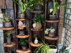 -慢丽江·云南野生菌土鸡锅(付家庄店)