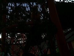 -中国福利会少年宫