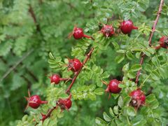 -白水寺森林公园