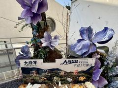 -菌小白·野生菌火锅(时尚天河店)