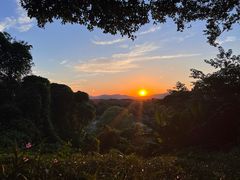 -上海市保健医疗中心