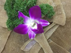 -朝天门火锅(香江半岛店)