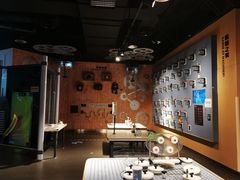 -中国宋庆龄青少年科技文化交流中心