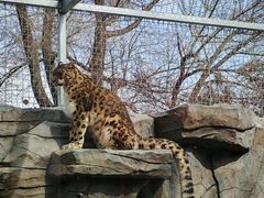 -青藏高原野生动物园