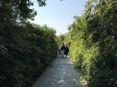 -西安汉城湖景区