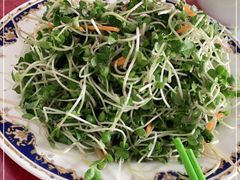-青岛锅贴(洛阳路分店)