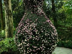 -杭州植物园