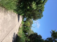 iphone_upload_pic-南丫岛