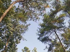 -钢管厂五区小郡肝串串香(奥克斯广场锦城万达店)