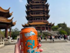 -黄鹤楼公园(黄鹤楼)