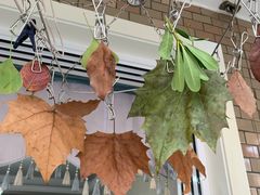 -雅悦齿科(顾村公园店)