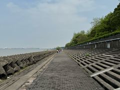 -上海滨江森林公园