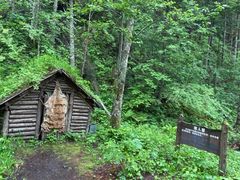 -峡谷浮石林景区