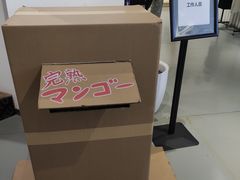 -Sony Store 索尼(上海淮海中路店)