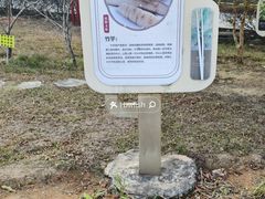 -中山市树木园