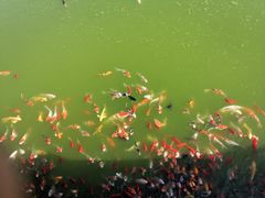 -茂陵博物馆
